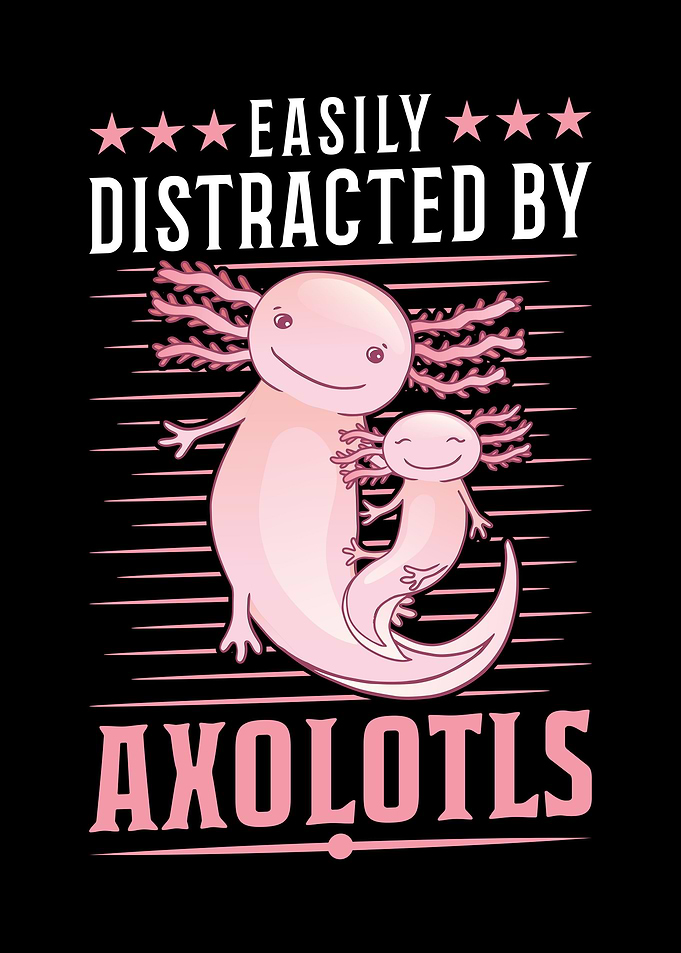 Axolotl Salamander