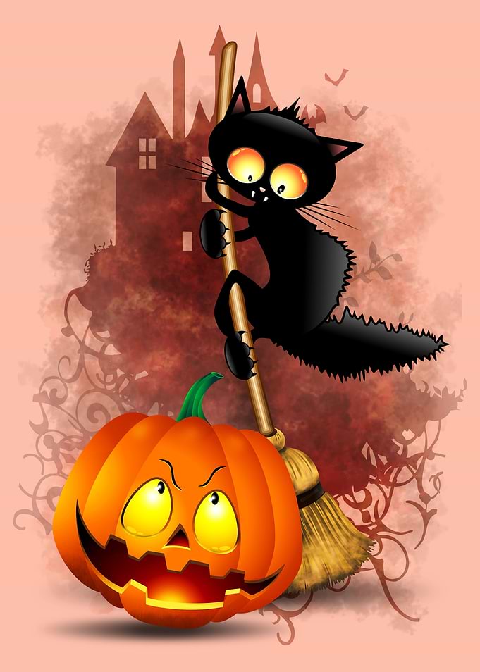 Cat Fun Halloween Cartoon