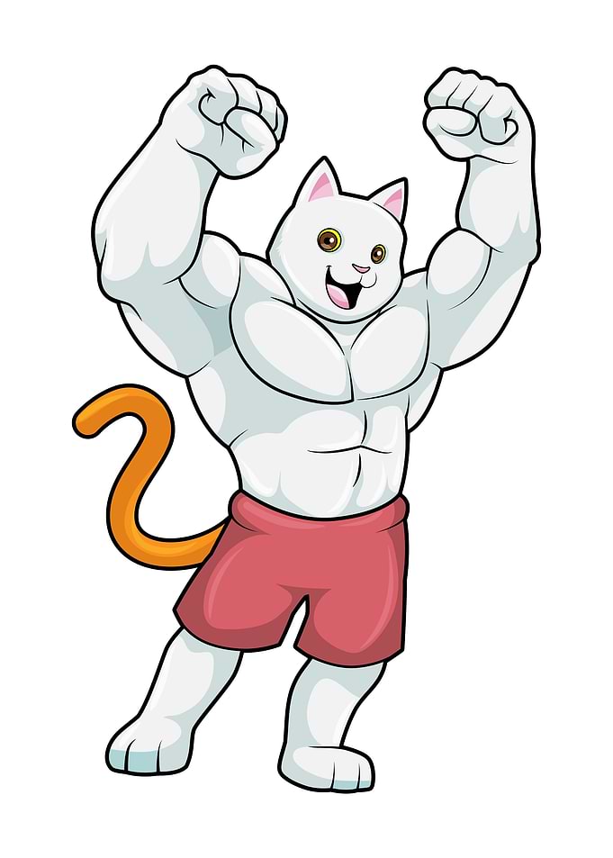 Cat Strength training