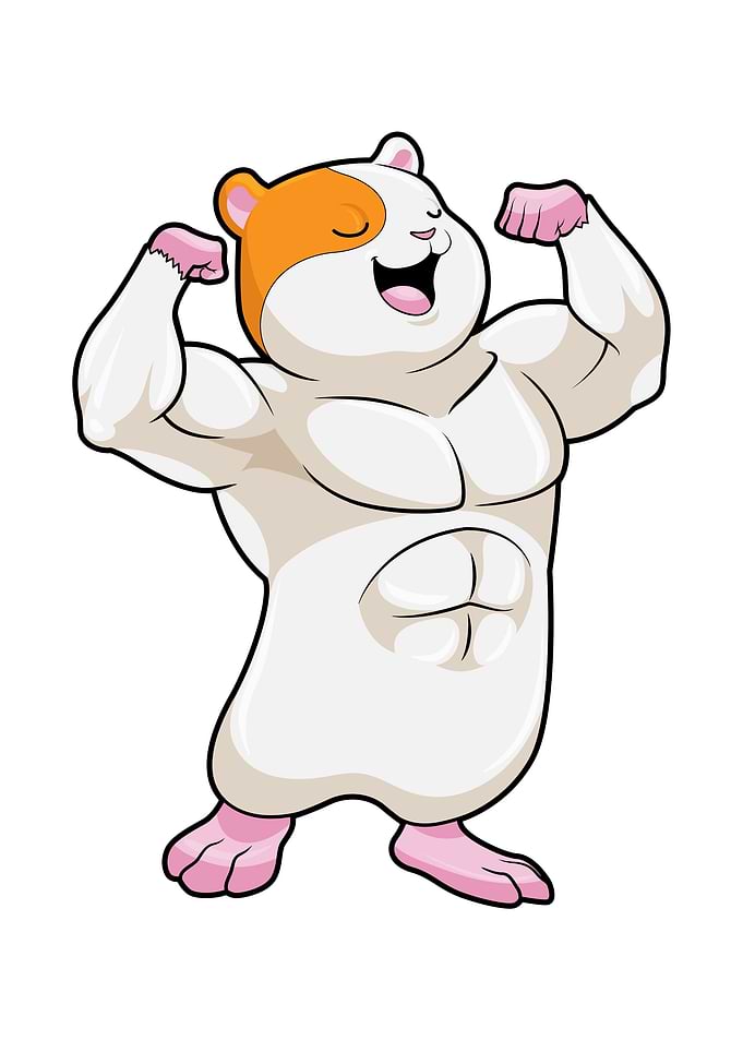 Hamster Bodybuilder
