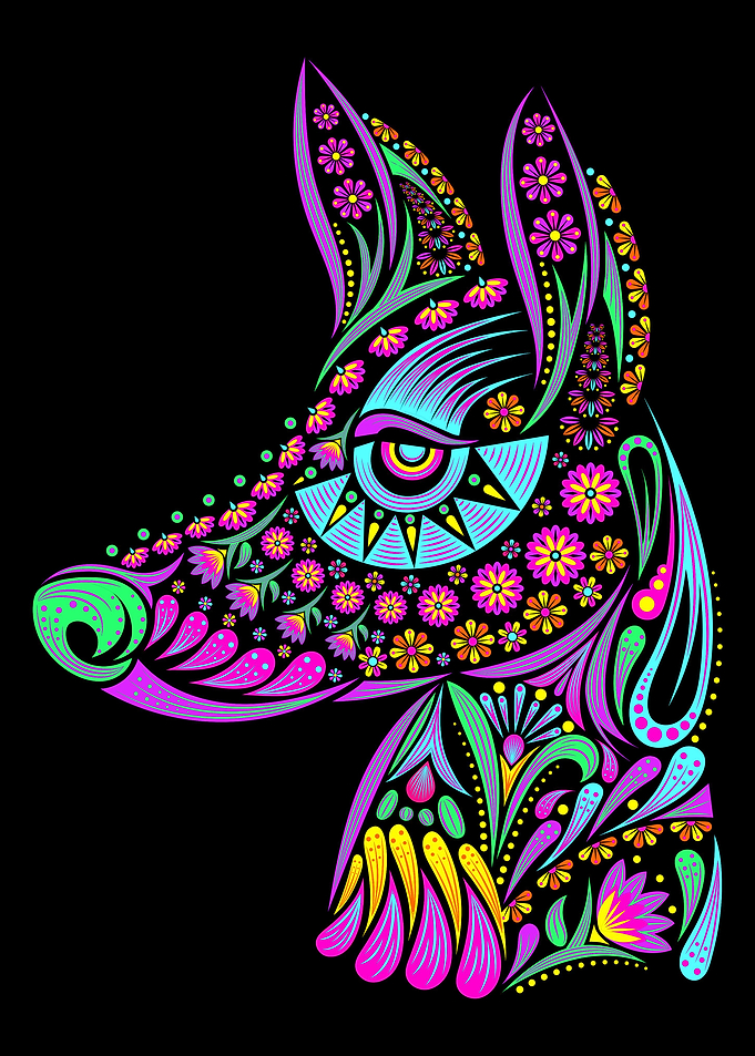mexican dog