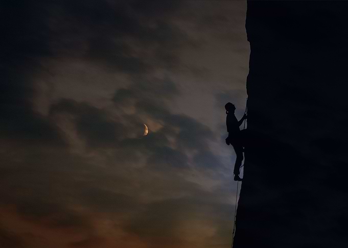 in the moonlight