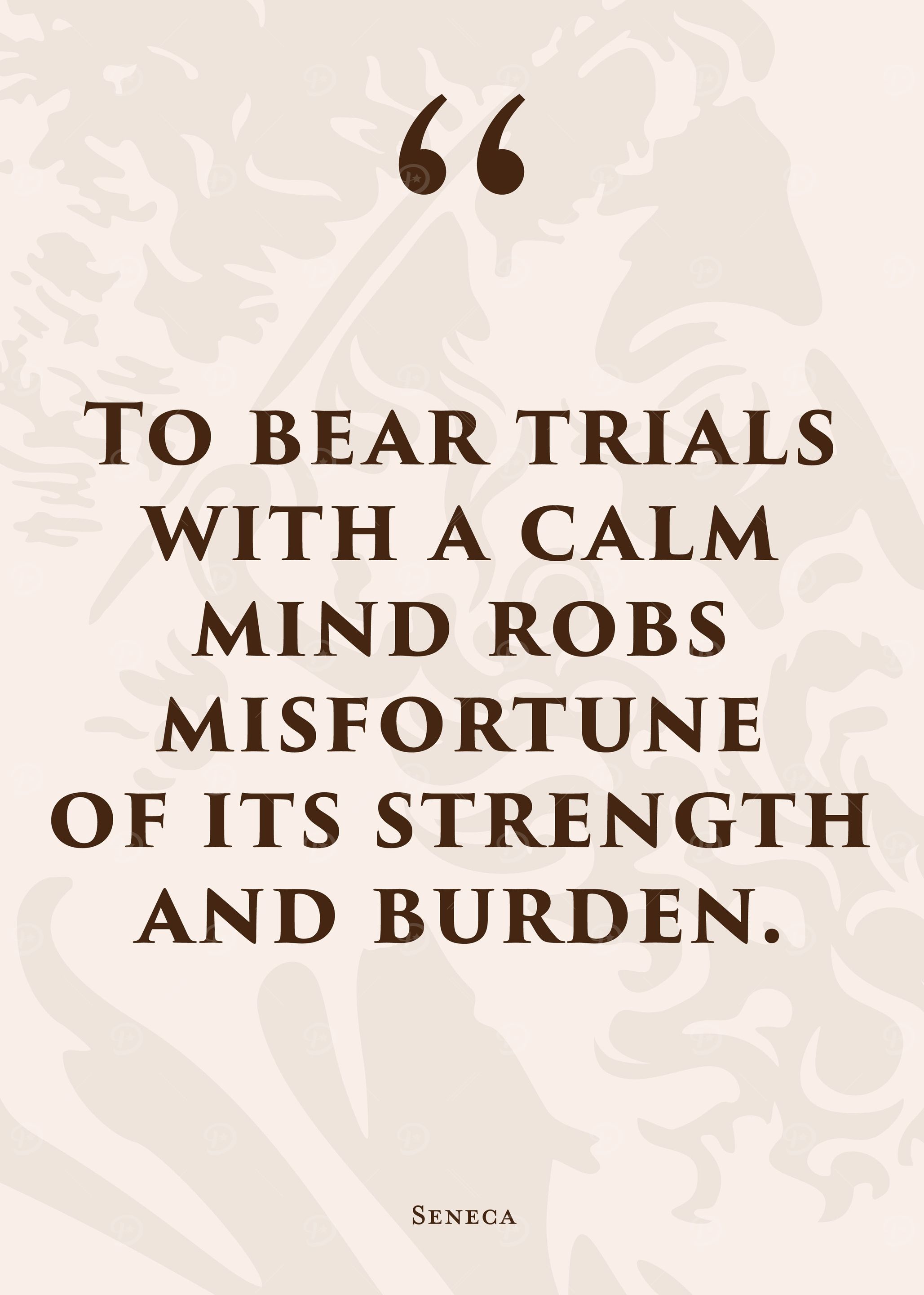 Stoic Quote 33