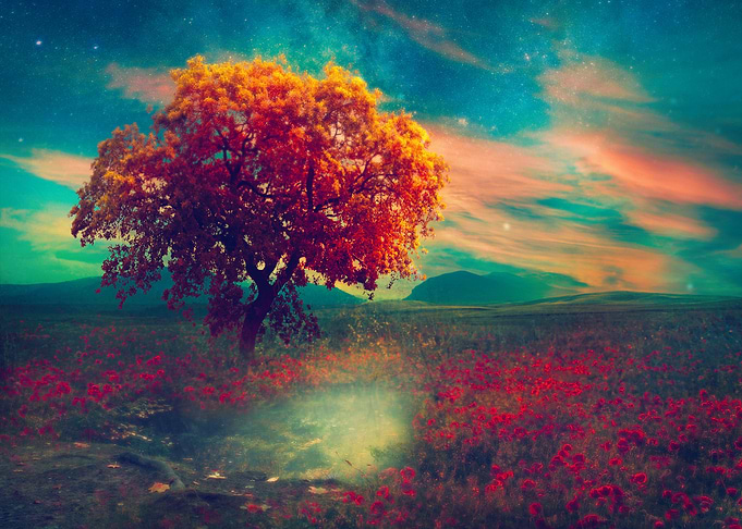 September