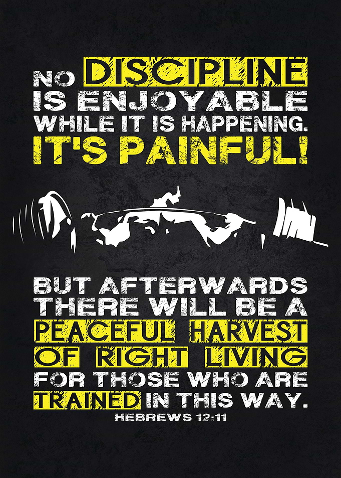 Discipline