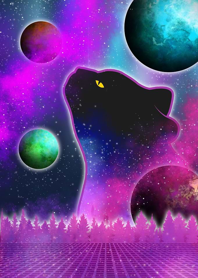 Space Cat Fantasy