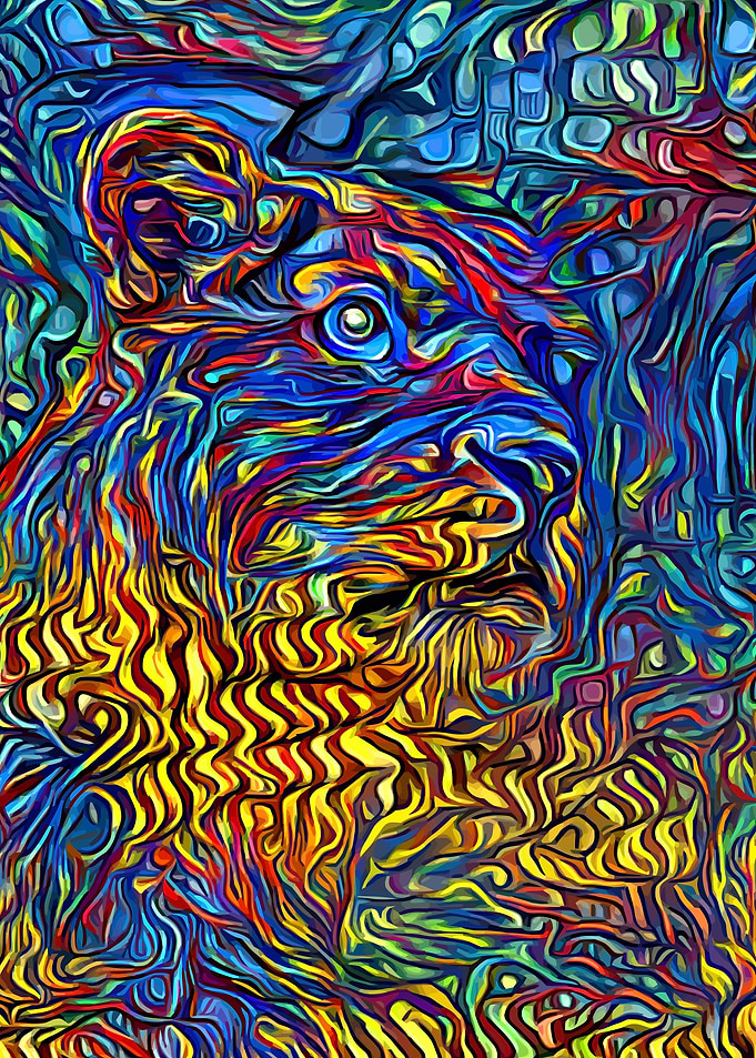 Lioness Savannah