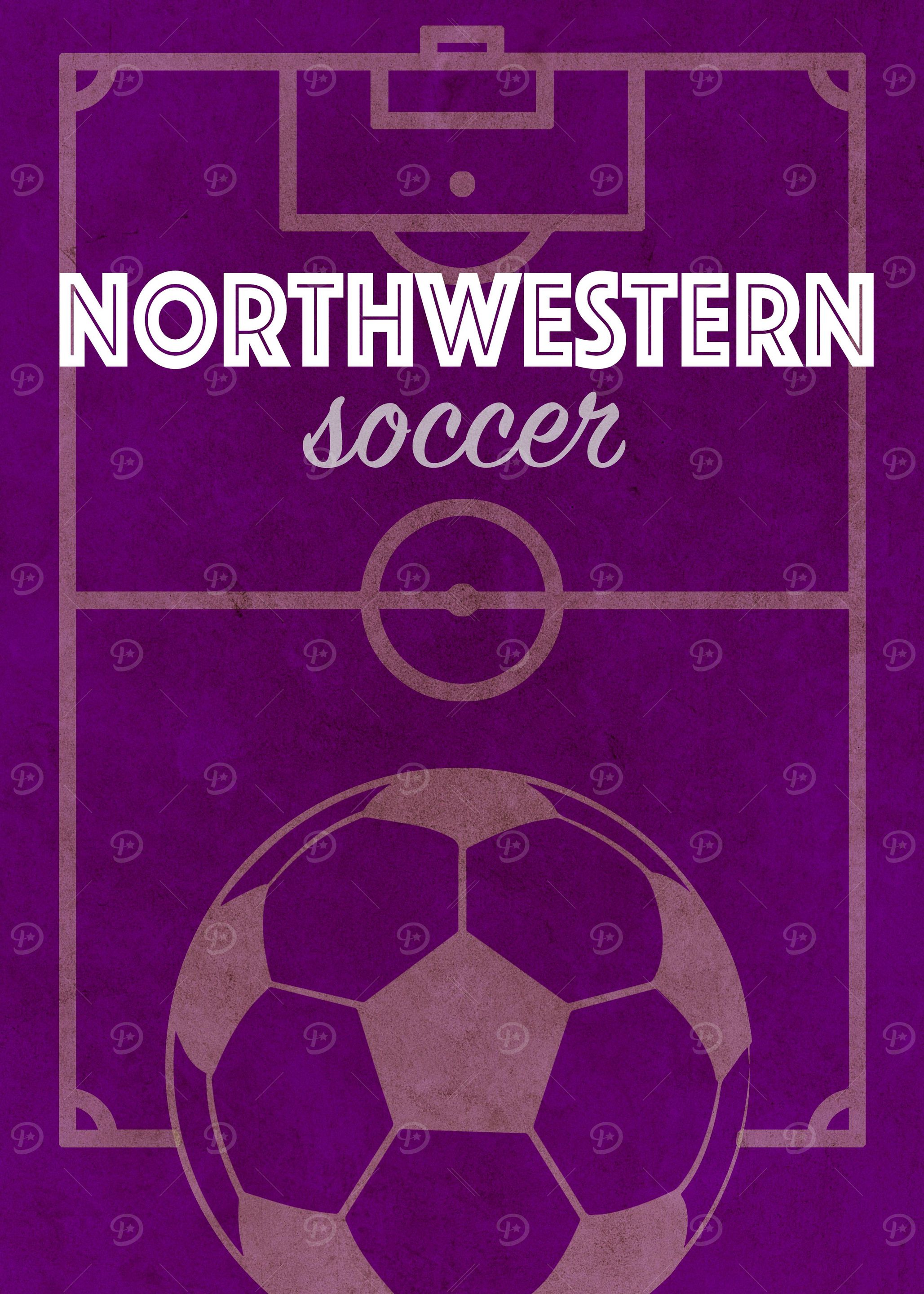Northwestern soccer team