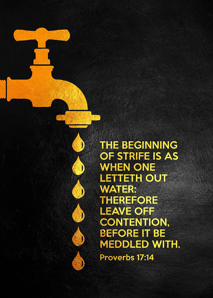 Proverbs 17 14