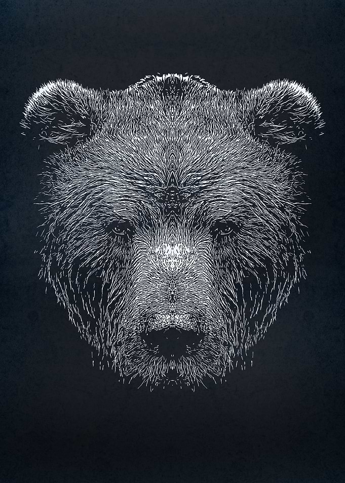 bear silhouette