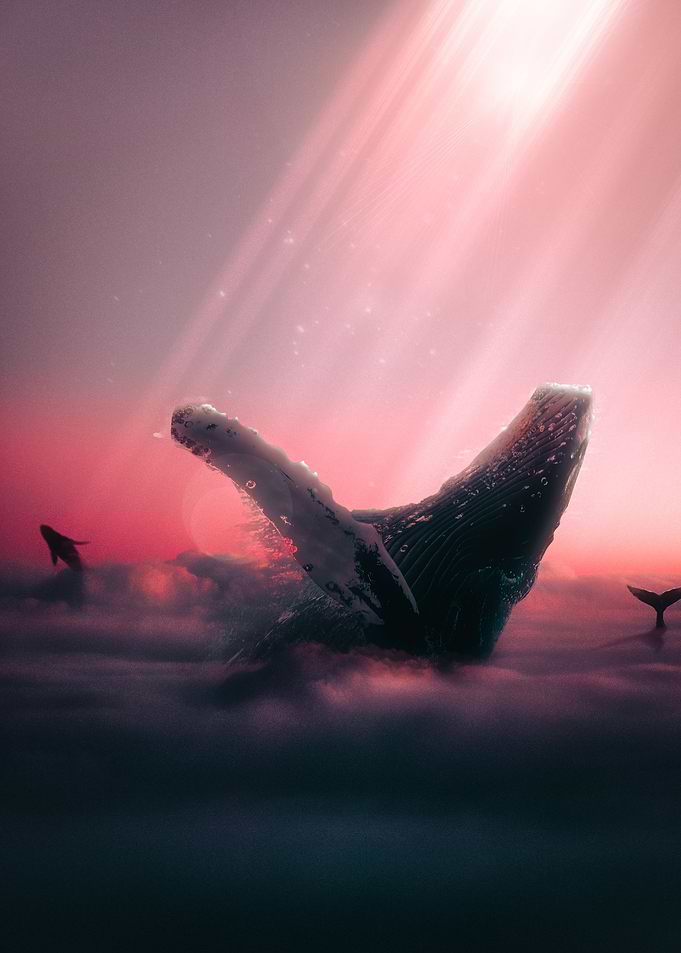Pink Sky
