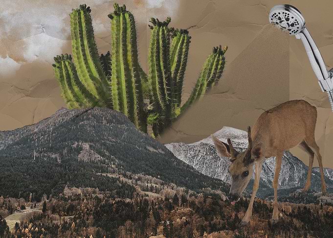 Collage