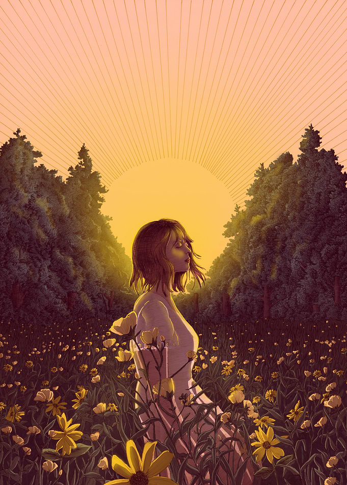 Magical Dawn in the Meadow