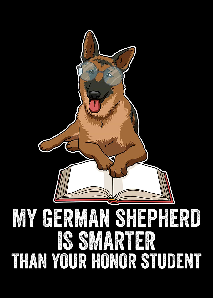 Smart German Shepherd