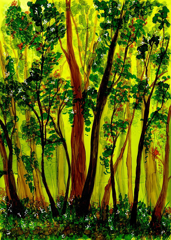 Sleepy Forest