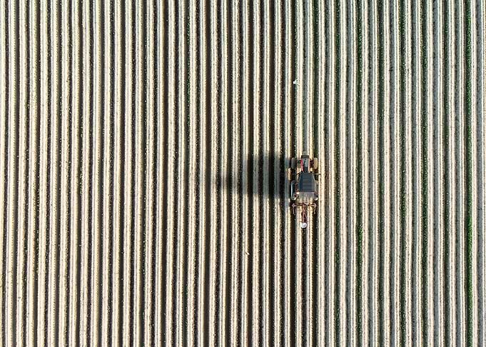 Tractor On The Fields