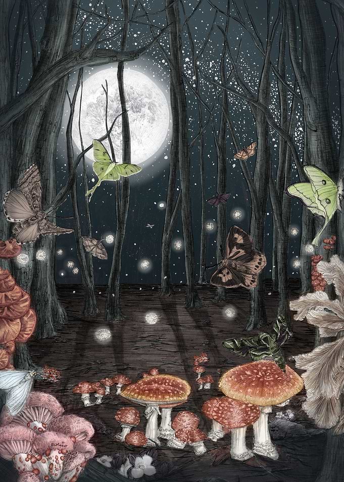 Midnight Magic