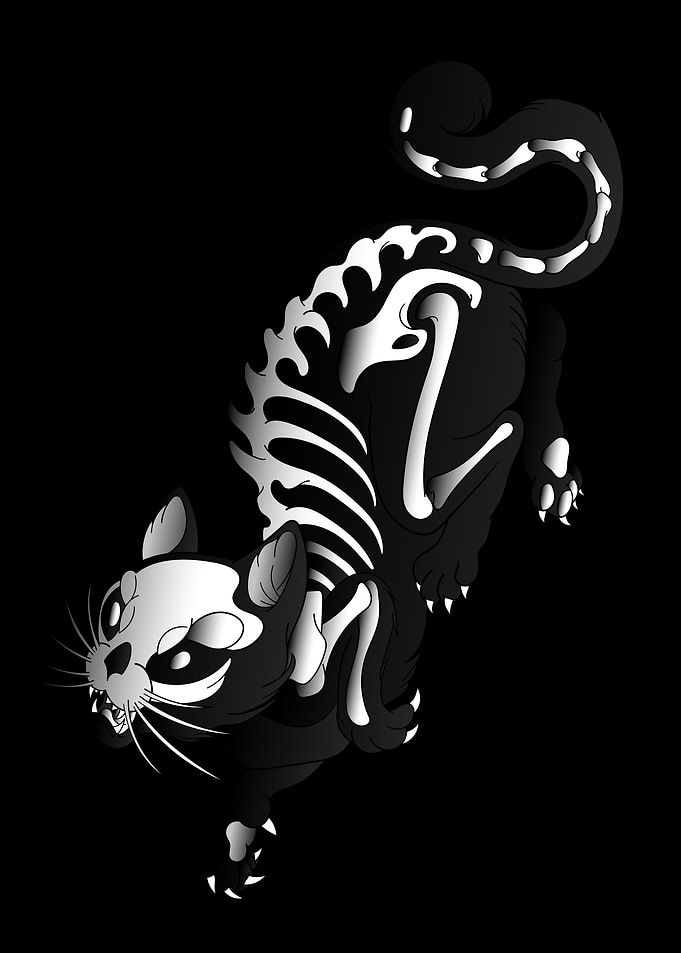 black cat halloween