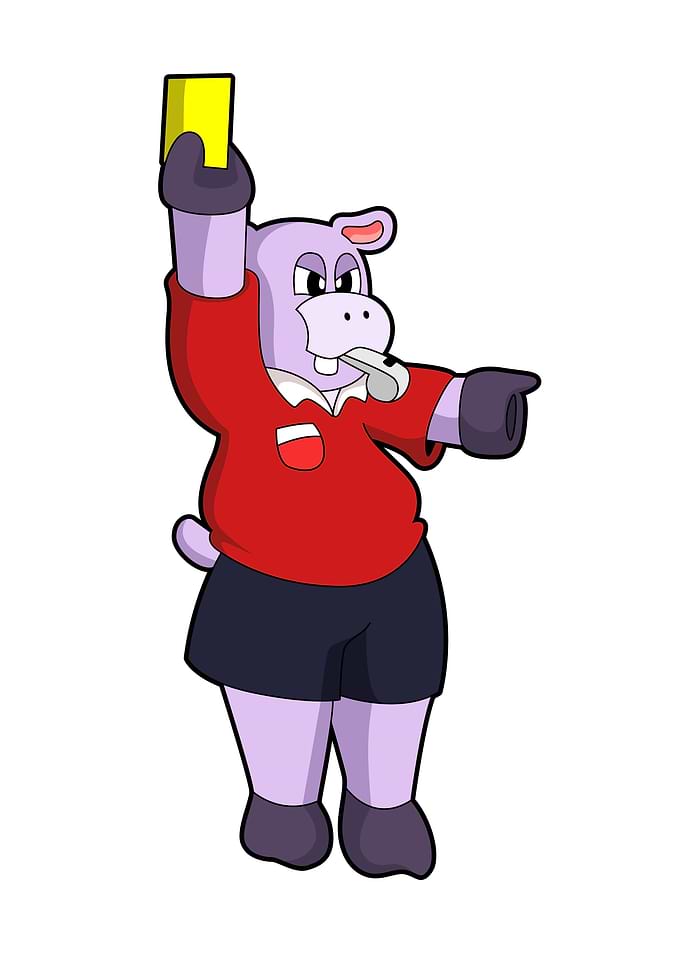 Hippo Referee Soccer