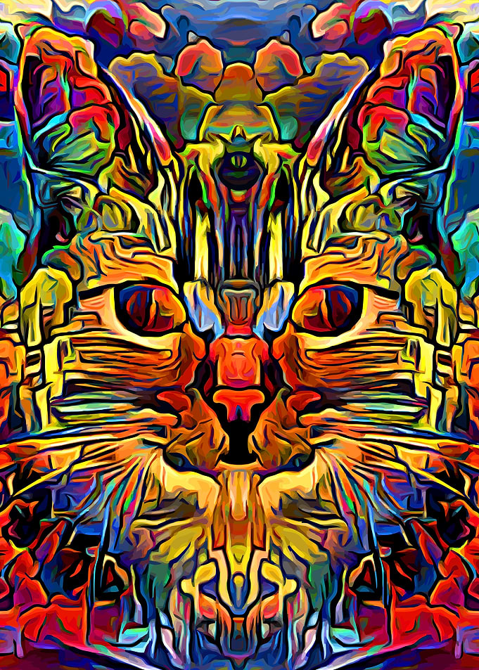 Cat Colorful