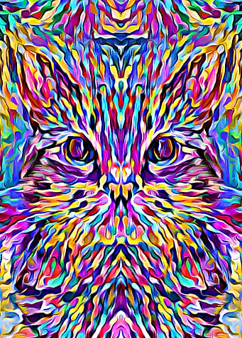 Cat Colorful