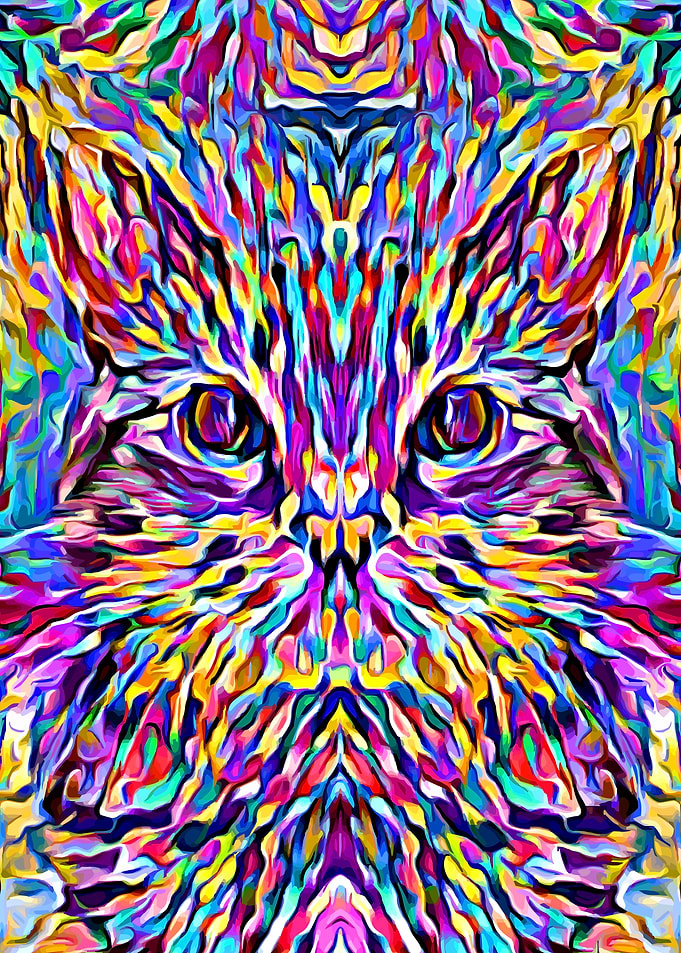 Cat Colorful