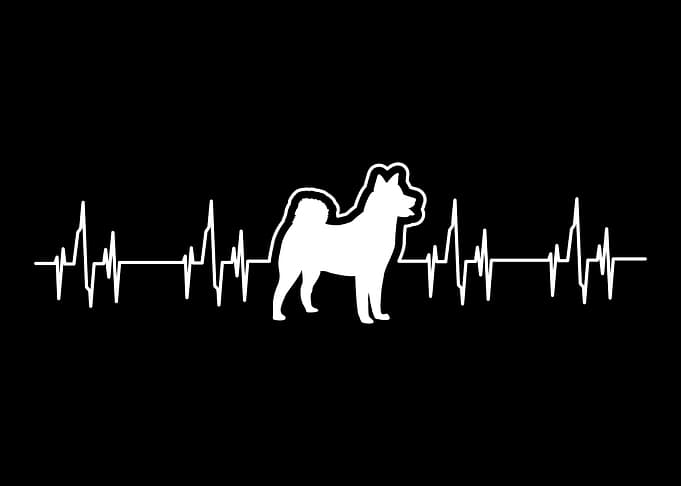 Dog owner gift