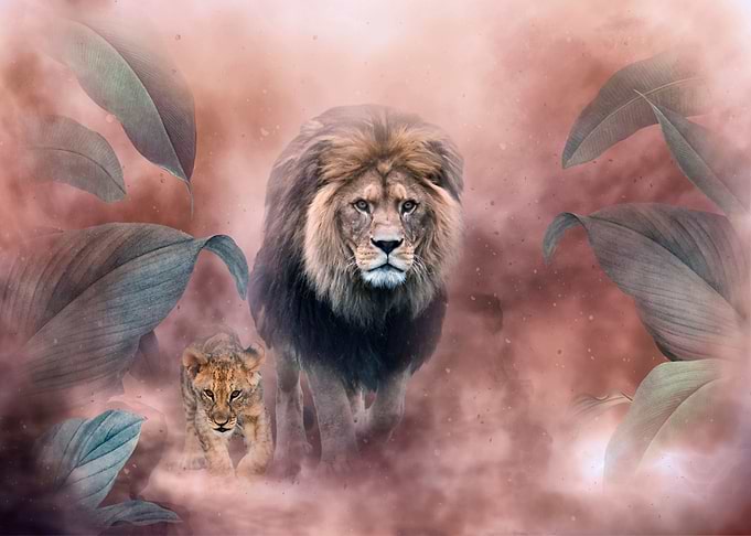 Father and son