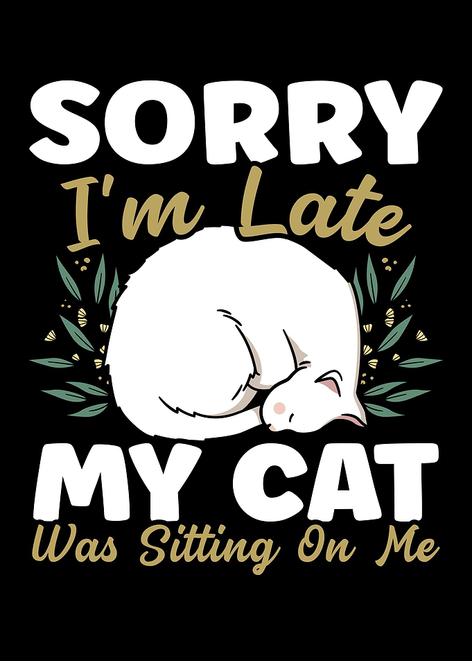 My Cat Was Sitting On Me