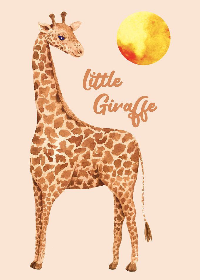 Giraffe Giraffes Africa
