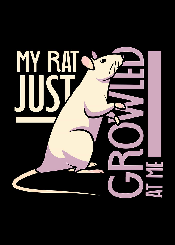 Rats Rat Lover Rodent