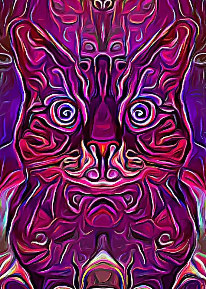 Cat Fantasy