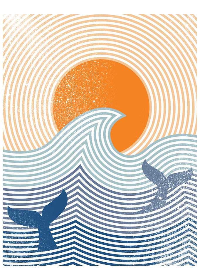 A Dolphin Sunset
