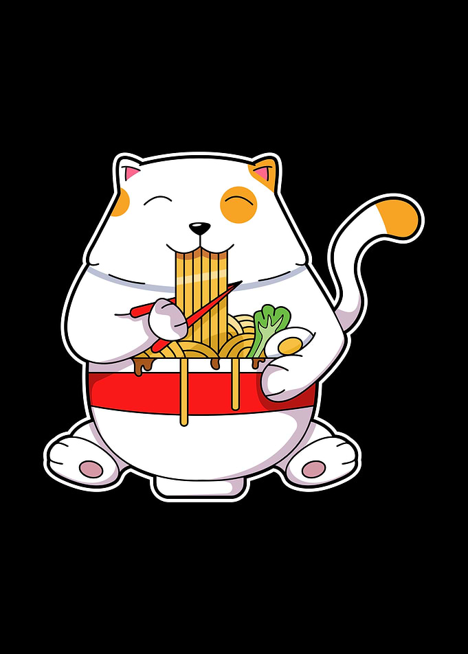 Ramen Soup Cat Noodles