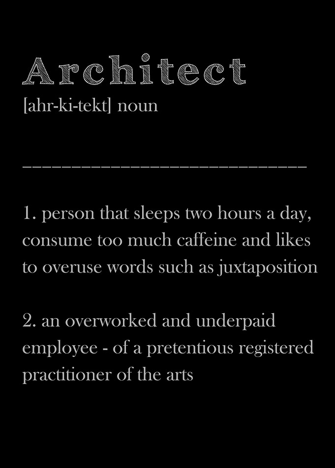 Funny Architect Definition