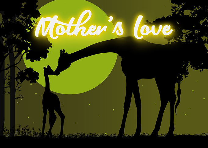 Giraffe Giraffes Africa