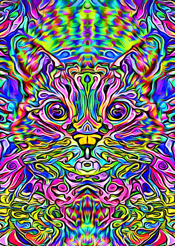 Cat Colorful Psy