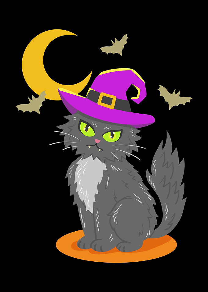 Halloween Cat