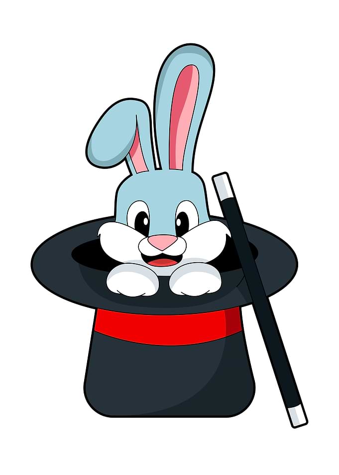 Rabbit Magician Magic wand