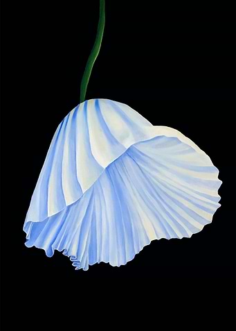 Pleated Skirt Flower
