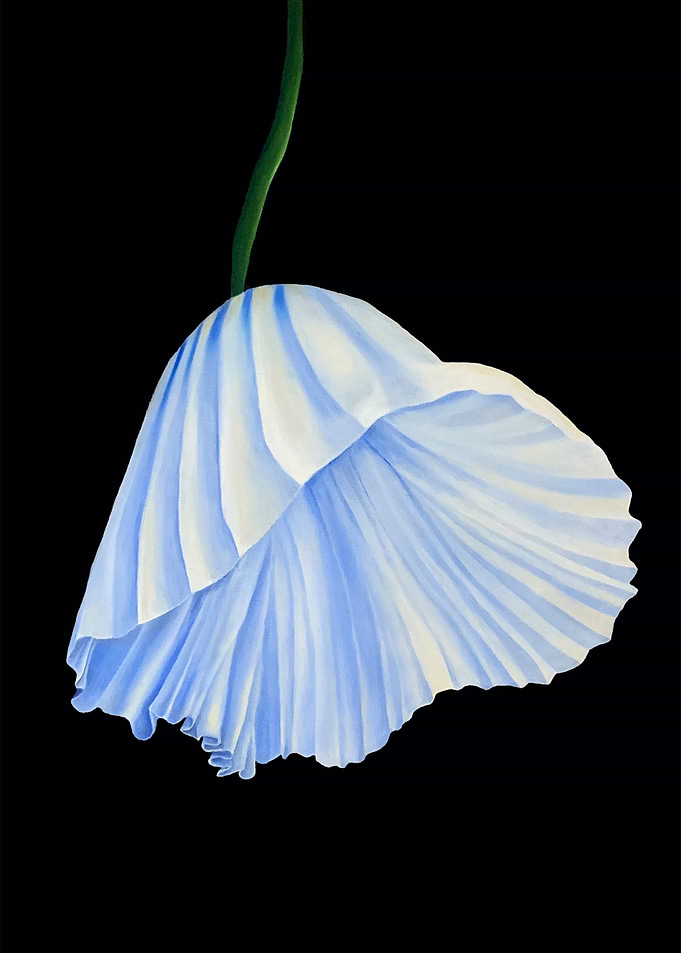 Pleated Skirt Flower