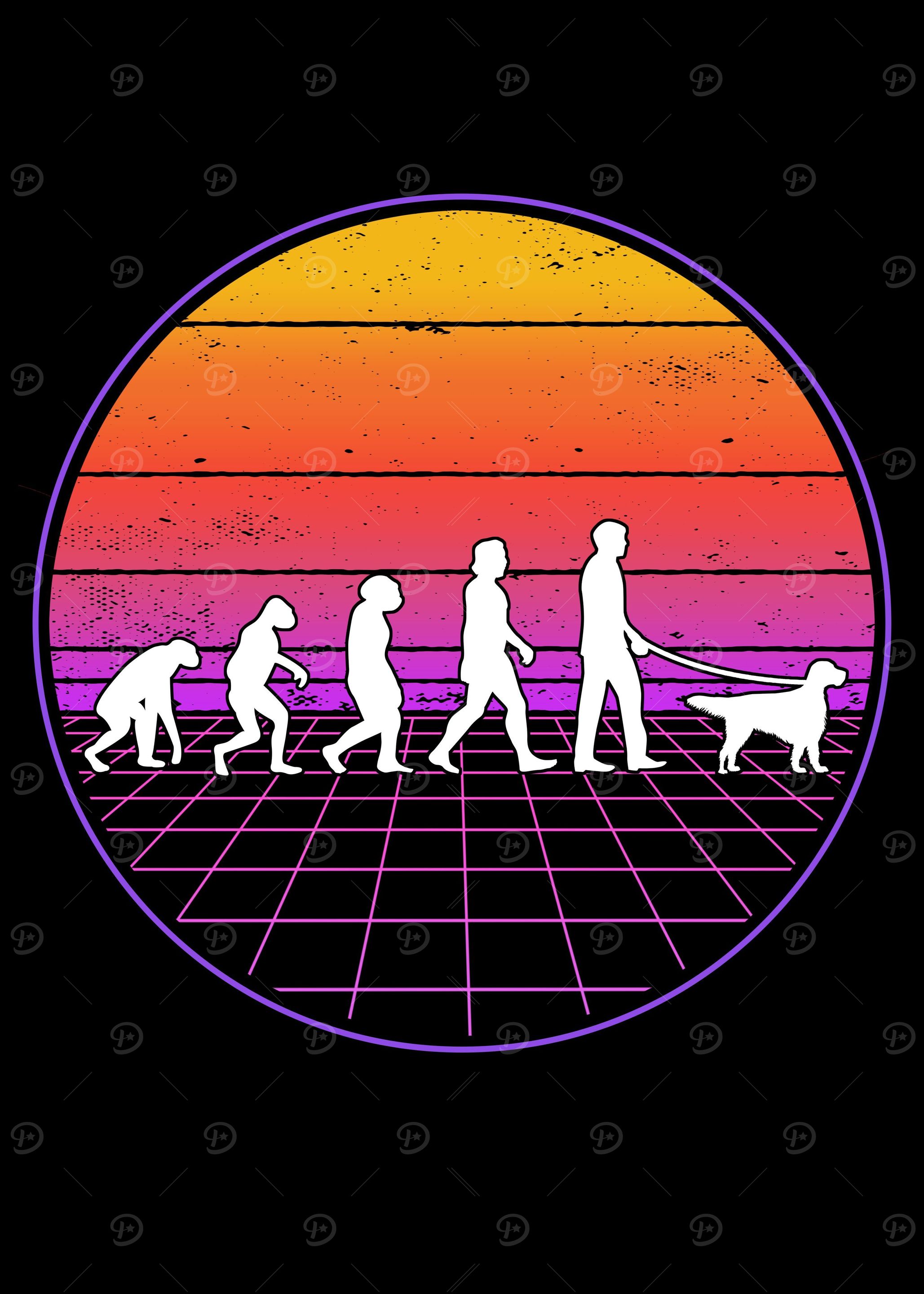 English Setter Evolution