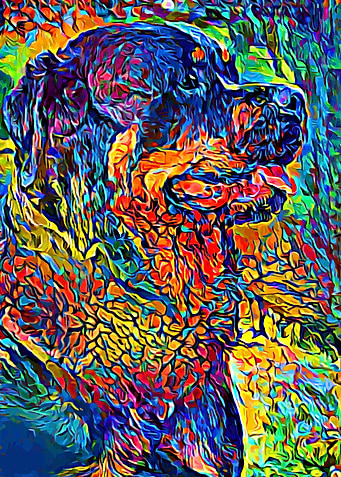 Rottweiler Colorful