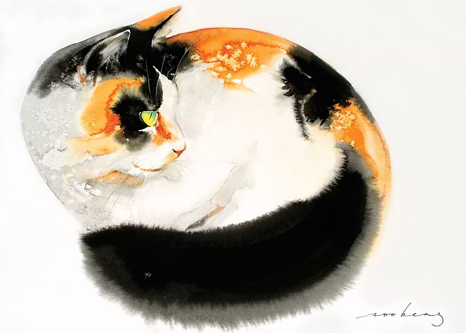 Cosy Cat