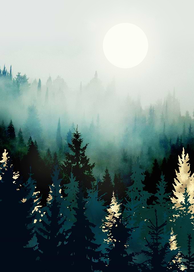 Forest Glow