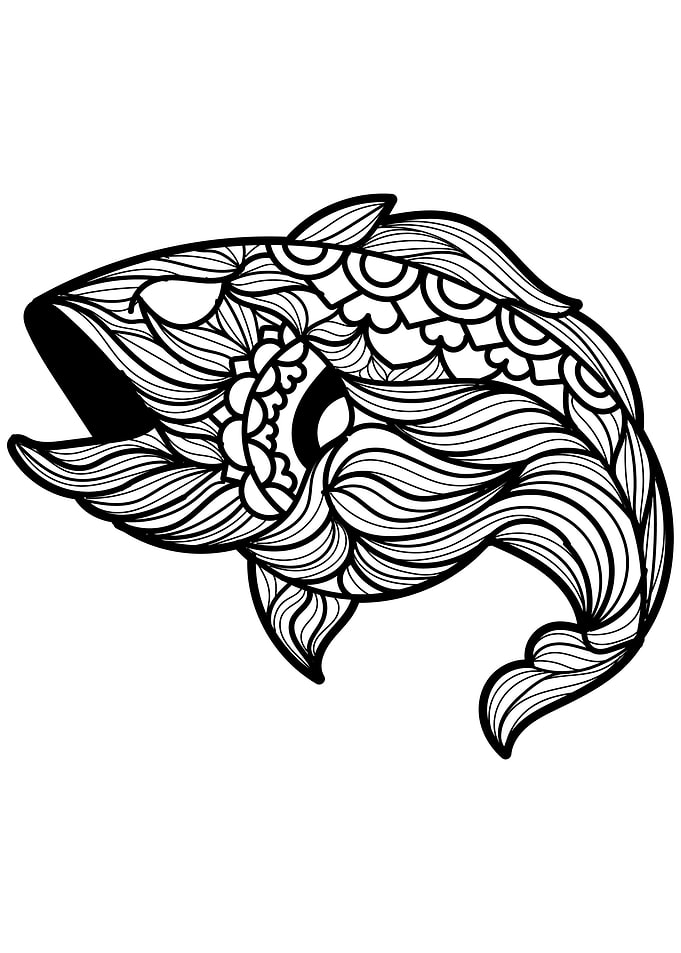 Fish