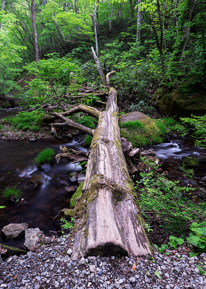 Inverted Wooden Bridge