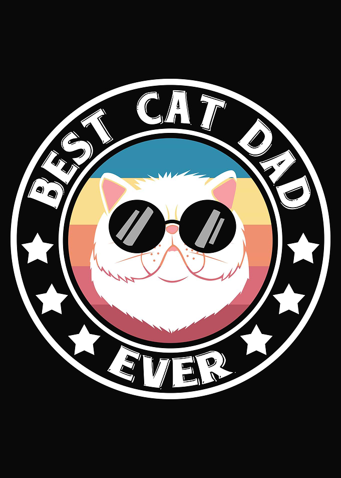 Cat Cats Feline Kitty Cat