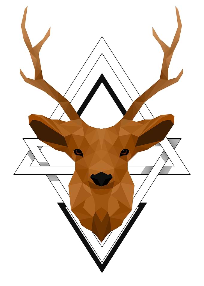 Polygon Deer Animal