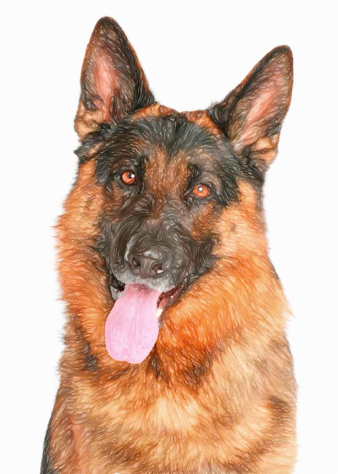 German Shepherd painting